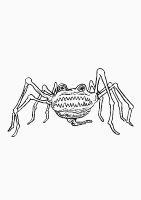 A coloring page of monster